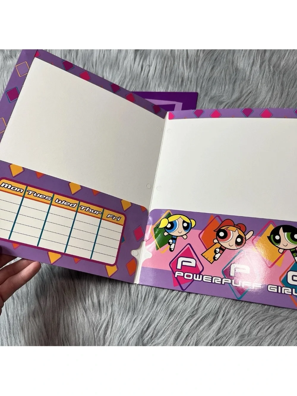 Vintage 2003 Y2K Powerpuff Girls Bundle Of 2 School Paper Folders